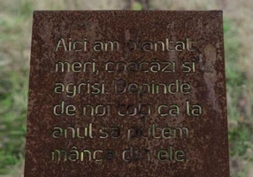 Revista IDEA artă+societate, nr. 53