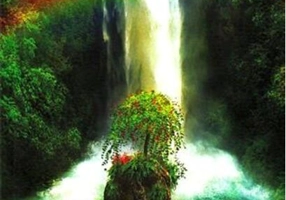 Pământul fertil. Ecotehnologii (Vol. III) Cum să folosim energiile naturii în agricultură şi silvicultură