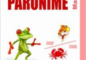 Dicţionar de paronime