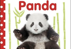 Baby Touch and Feel Panda