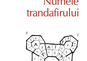 Numele trandafirului