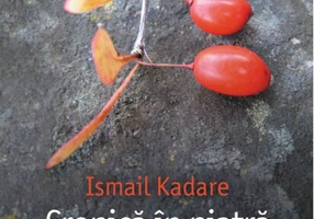 Cronică în piatră. Vremea nebuniei