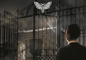 Vitrina de curiozități