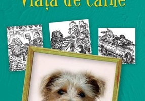 Viaţă de câine
