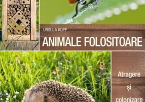Animale folositoare. Atragere și colonizare în grădină