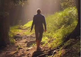 Muntele familiei Gray