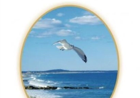 Omul care iubea pescăruşii