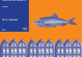 Inelele lui Saturn | vinil audiobook