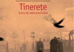 Tinereţe. Scene de viaţă provincială