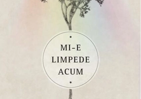 Mi-e limpede acum
