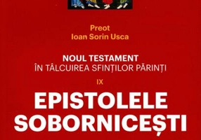 Noul Testament în tâlcuirea sfinților părinți: Epistolele Sobornicești (Vol. 9)