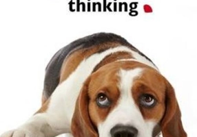 What is my Dog Thinking? : The essential guide to understanding your pet