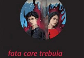 Fata care trebuia să moară. Millennium (Vol. VI)