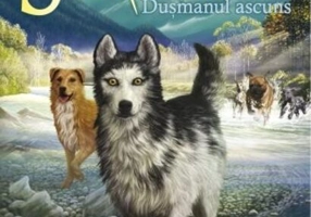 Duşmanul ascuns. Supravieţuitorii (Vol. 2)