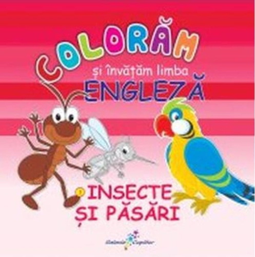 Colorăm şi învăţăm limba engleză. Nr.3. Insecte şi păsări