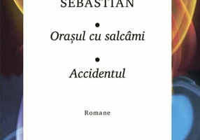 Orașul cu salcâmi • Accidentul