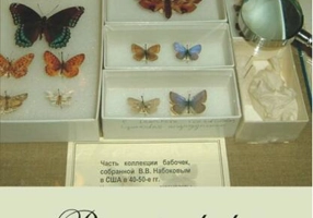 Povestirile lui Vladimir Nabokov