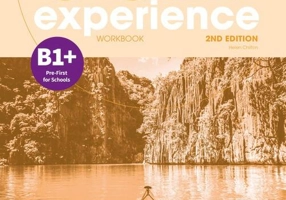Gold Experience B1+ Workbook, 2nd Edition