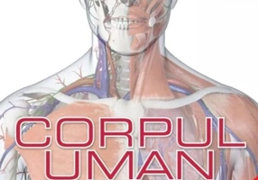 Corpul uman. Manual complet