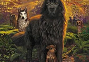 Căderea întunericului. Supravieţuitorii (Vol. 3)