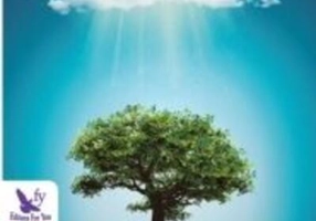 Vindecă-ți viață. Cheile Împărăției