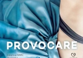 Provocare. Păcătoșii din orașul tuturor sfinților (Vol. 4)