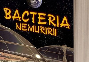 Bacteria Nemuririi